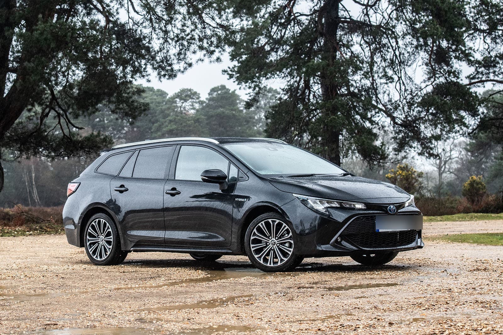 Toyota Corolla Touring Sports (Black)